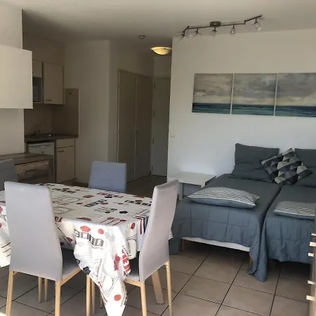 Apartment Climat. Avec Balcon Proche Et Commerces, Wi-fi Gratuit - Fr-1-466a-27 *